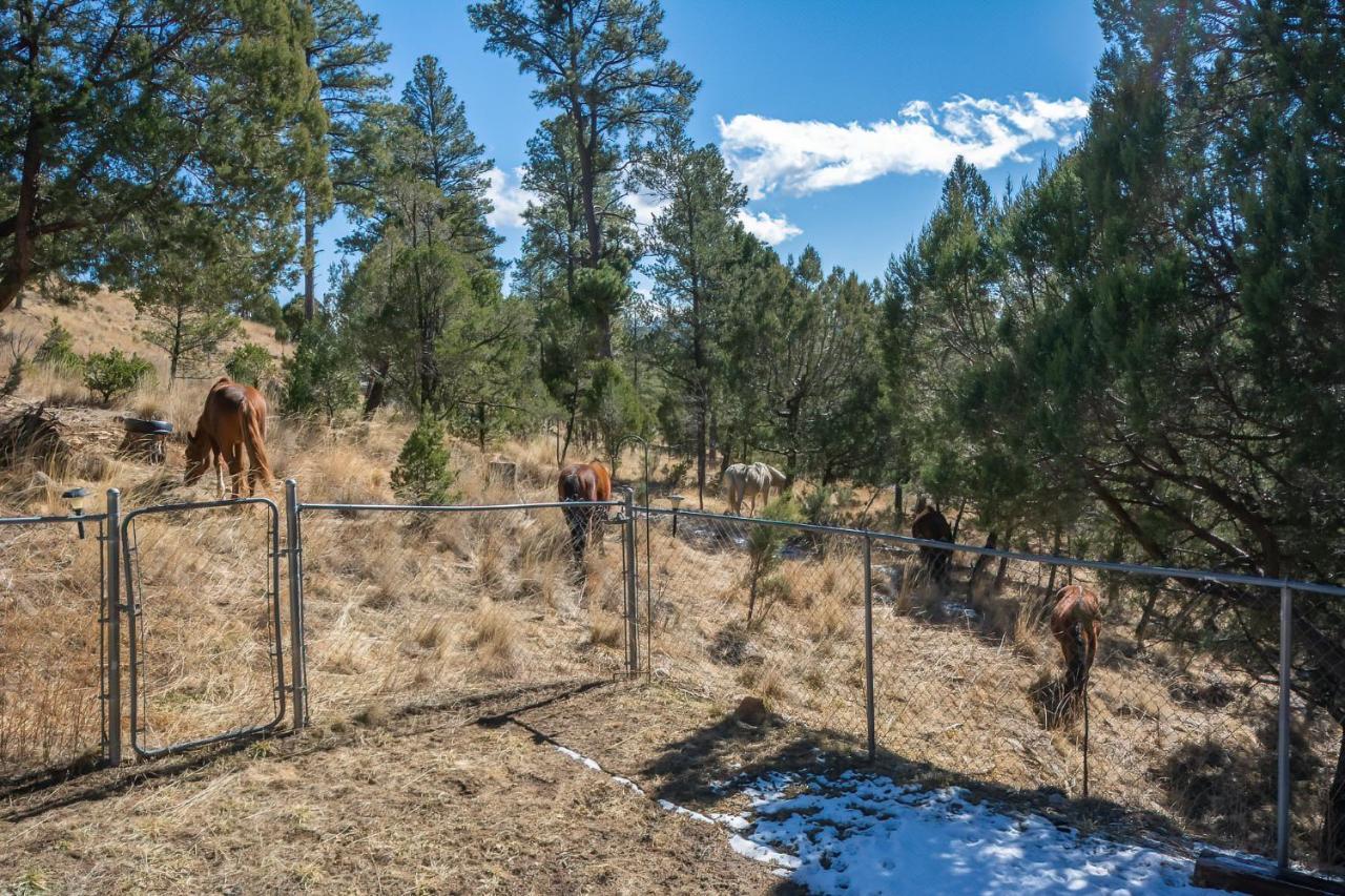 Howl At The Moon Villa Ruidoso Exteriör bild