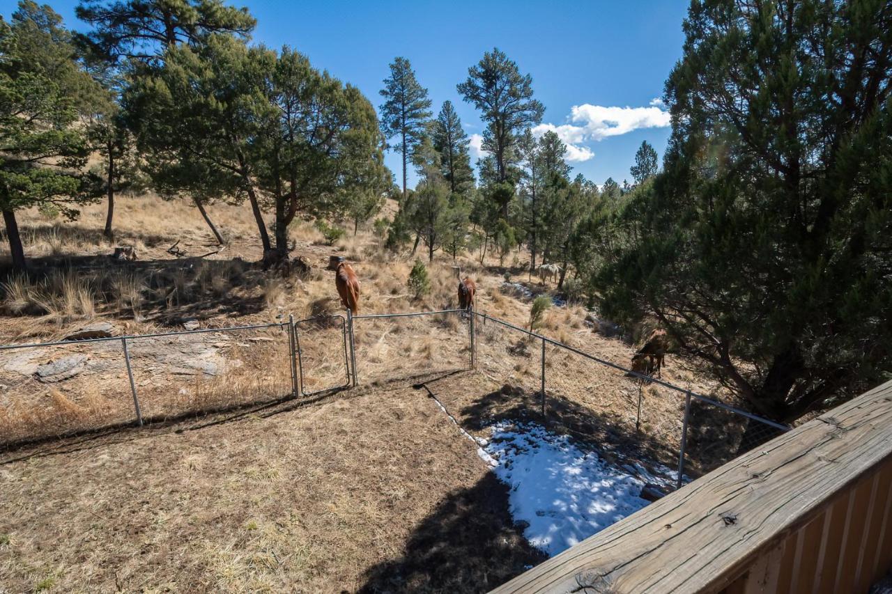 Howl At The Moon Villa Ruidoso Exteriör bild